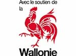 2016-système-wallonie-23-soutien-dc-nonvecto