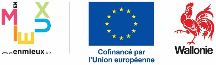 AAAAAA nouveau logo wallonie