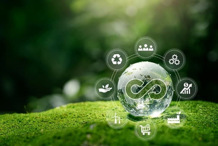 Production of sustainable and biodegradable materials based on 3-methyl-d-valerolactone (3MdVL)